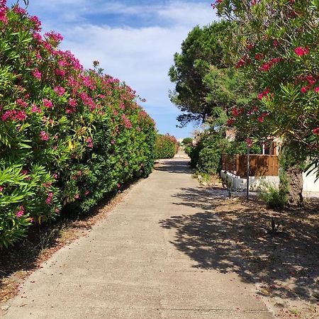 Coquette Villa De Vacances Le Barcares Exterior photo